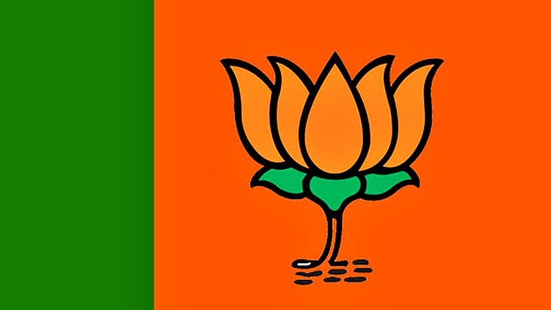 Cracking the BJP's Ideological Structure: A Extensive Analysis